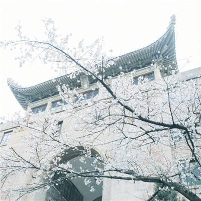 北京发布暴雨蓝色预警防护“蓝三条”：莫在高楼下躲雨